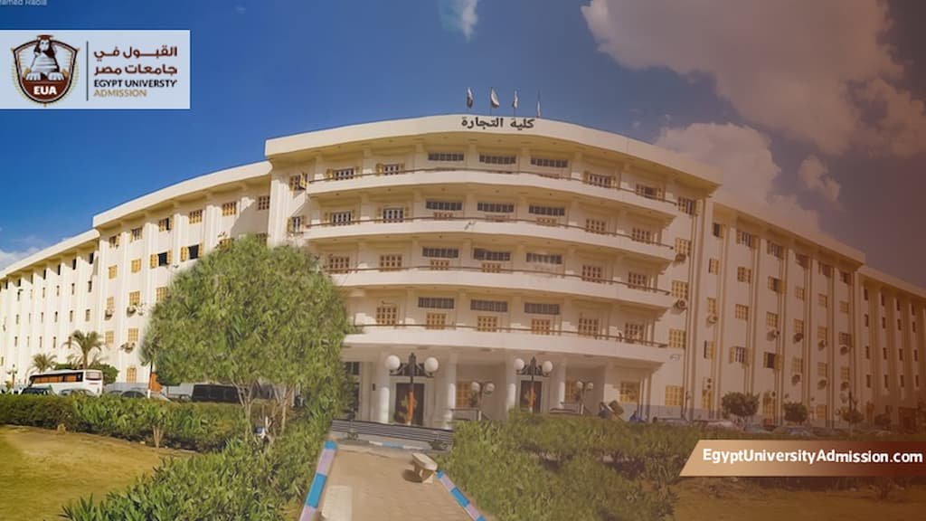 الدكتوراة المهنية جامعة بنى سويف