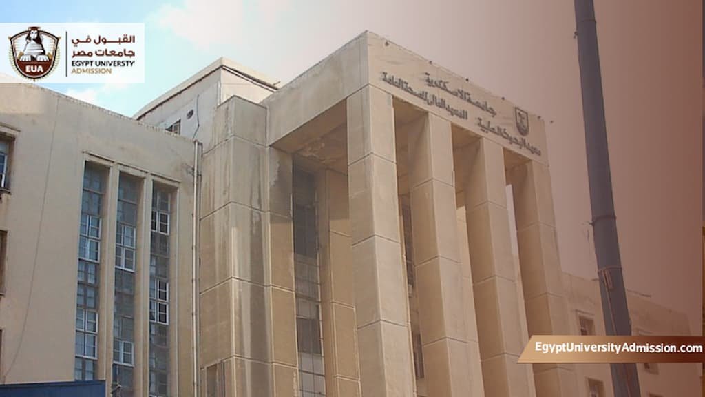 المعهد العالي للصحة العامة بالاسكندرية الدراسات العليا
