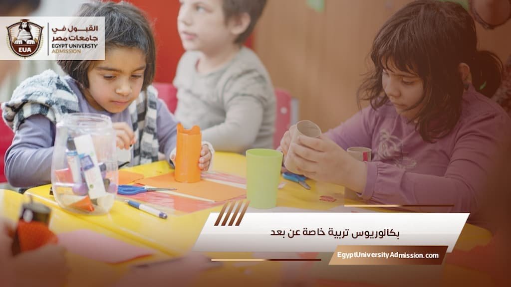 بكالوريوس تربية خاصة عن بعد