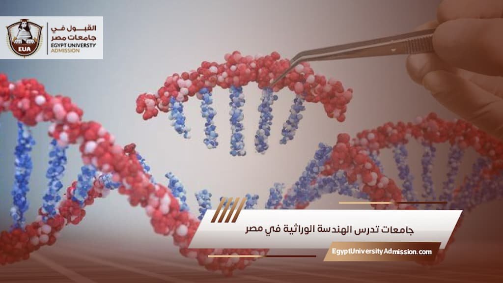 جامعات تدرس الهندسة الوراثية في مصر