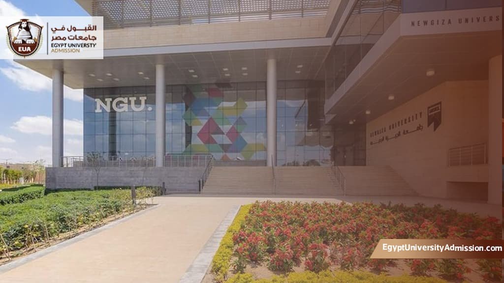 شروط القبول في جامعة نيو جيزة