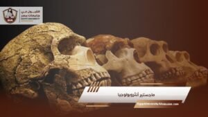 ماجستير أنثروبولوجيا