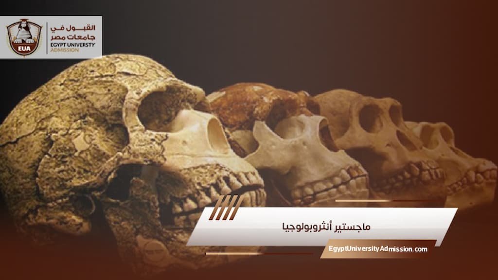 ماجستير أنثروبولوجيا