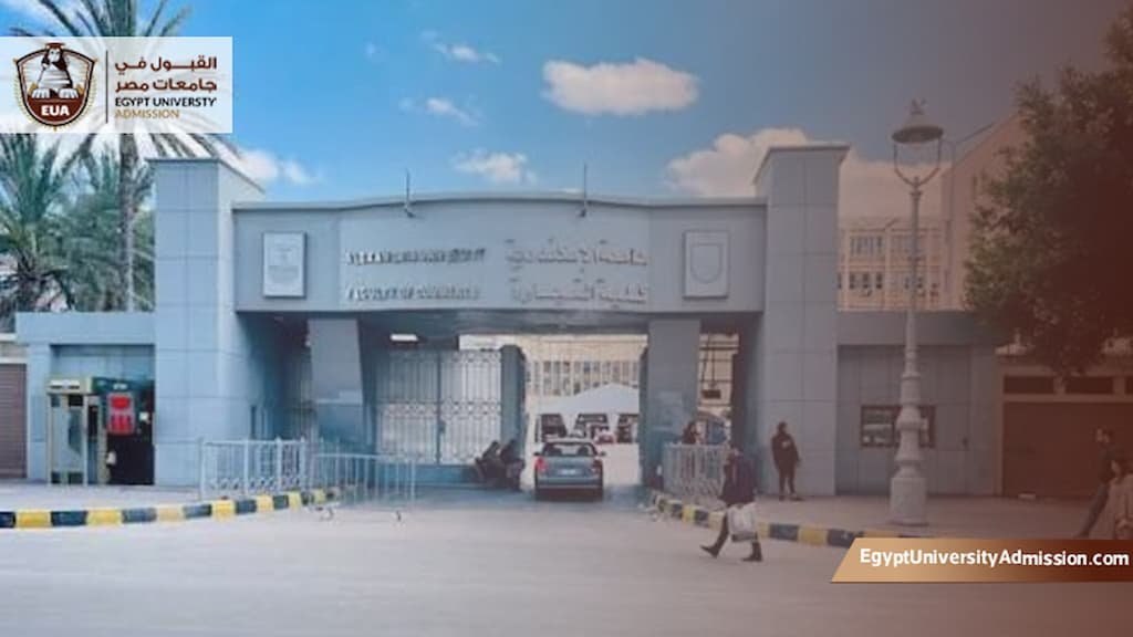 ماجستير كلية التجارة جامعة الإسكندرية