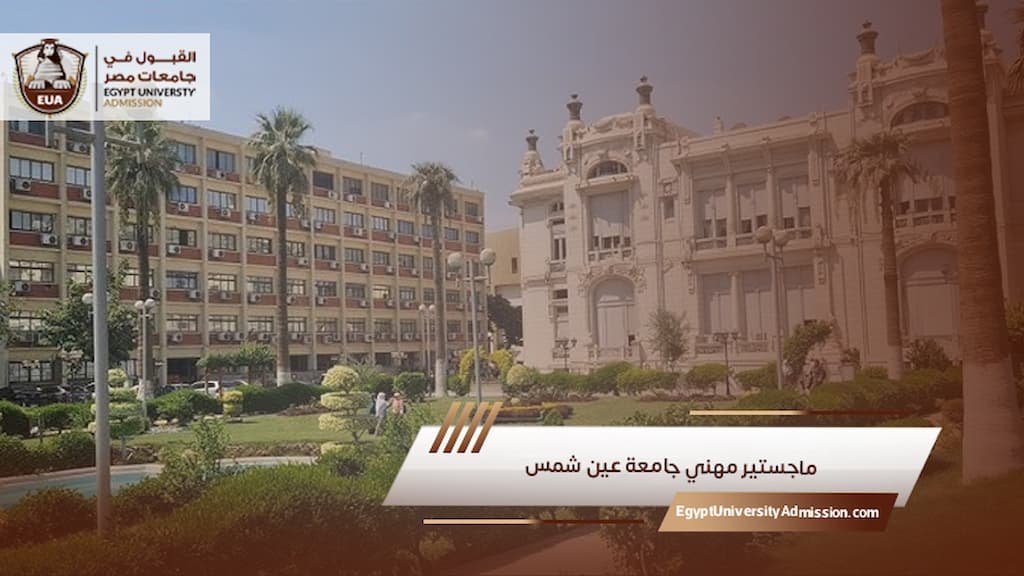 ماجستير مهني جامعة عين شمس