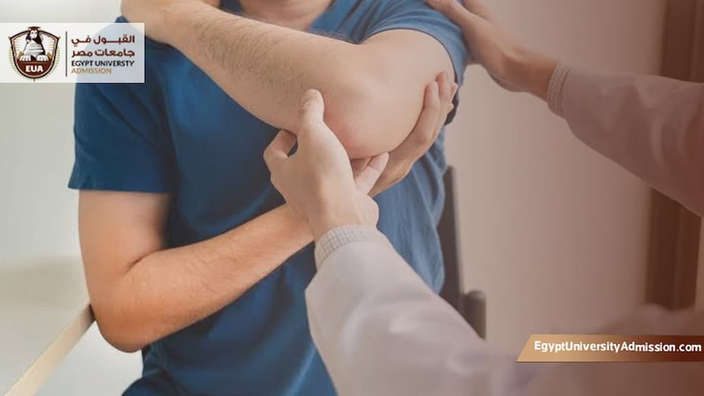 مصاريف كلية العلاج الطبيعي جامعة مصر للعلوم والتكنولوجيا