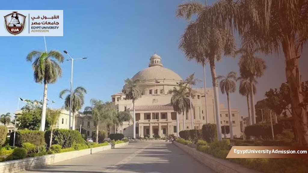 التعليم المدمج جامعة القاهرة