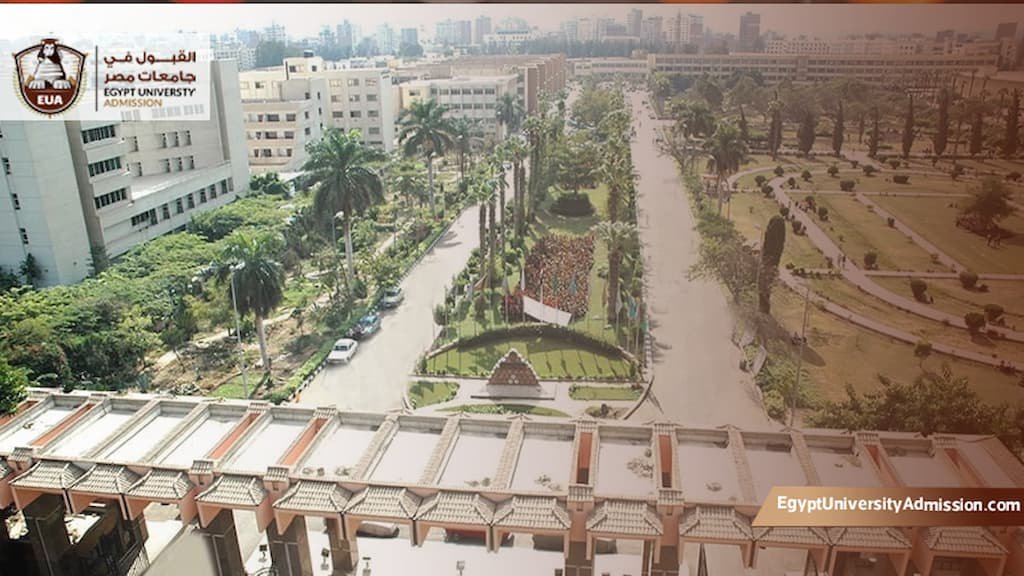 الكليات الموجودة في جامعة المنصورة