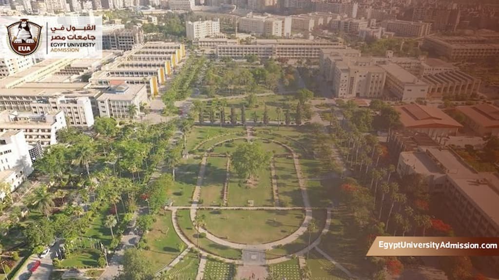 جامعة المنصورة الدراسات العليا للوافدين