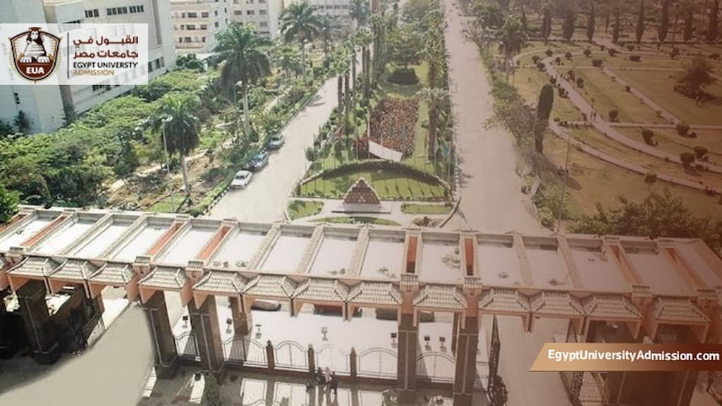 شروط القبول في جامعة المنصورة
