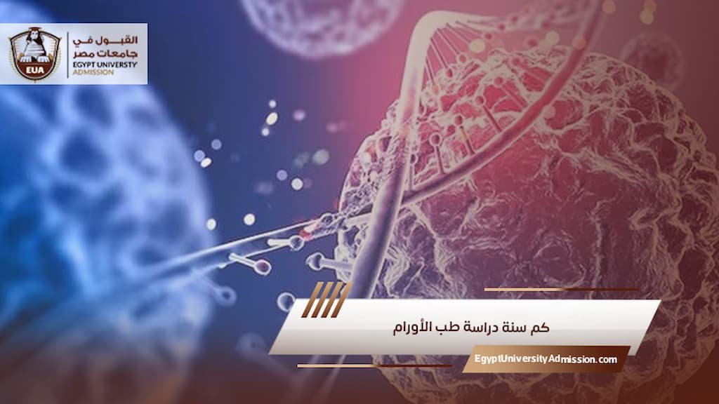 كم سنة دراسة طب الأورام