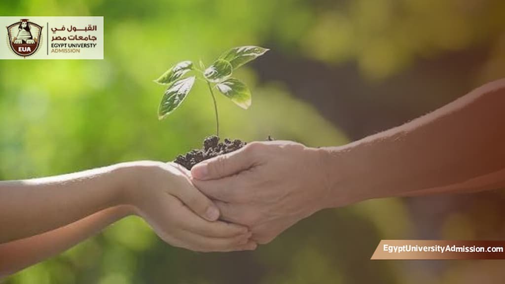 ماجستير إدارة بيئية