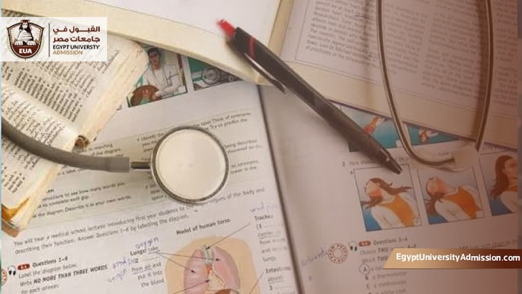 نظام دراسة الطب في جامعة المنصورة