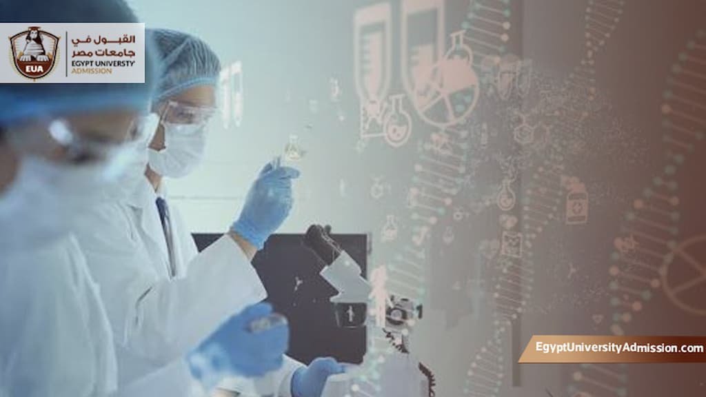 هندسة طبية جامعة مصر للعلوم والتكنولوجيا
