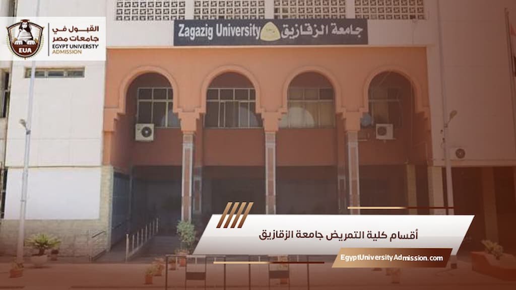أقسام كلية التمريض جامعة الزقازيق