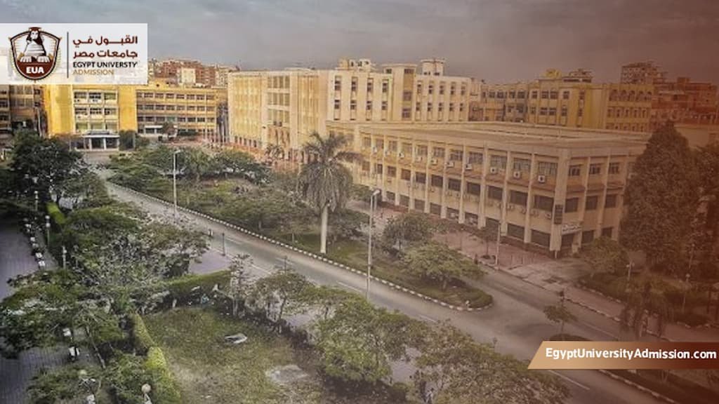 أقسام كلية التمريض جامعة الزقازيق