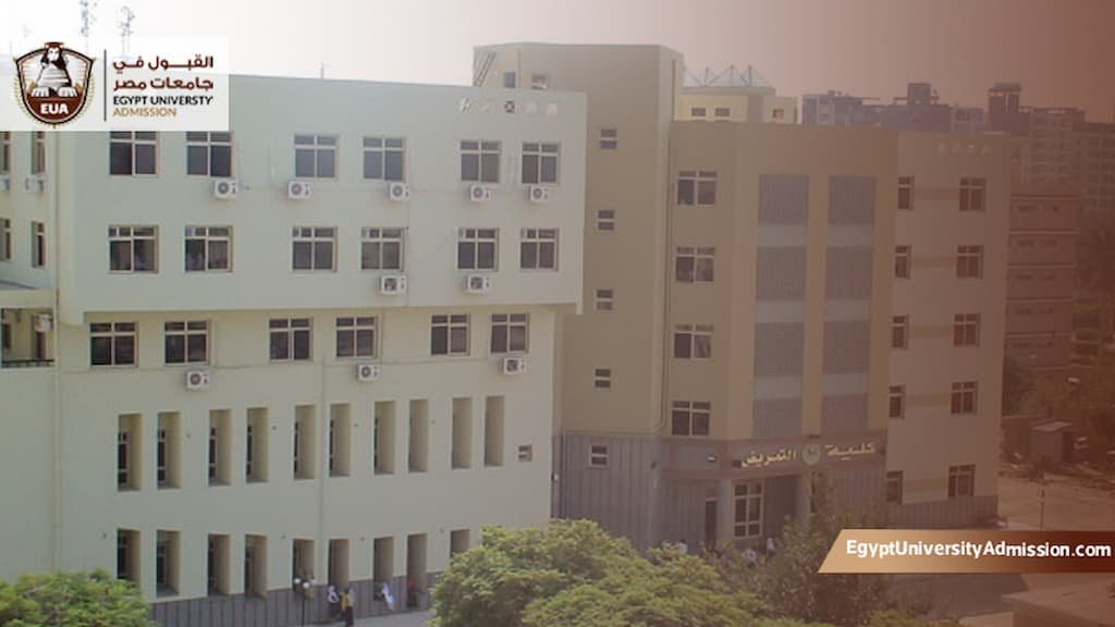 أقسام كلية التمريض جامعة المنصورة