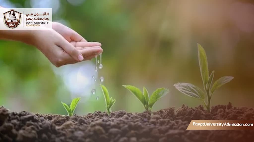 الماجستير التنفيذي في الصحة والسلامة البيئية