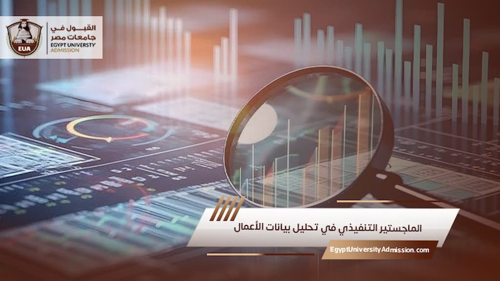 الماجستير التنفيذي في تحليل بيانات الأعمال