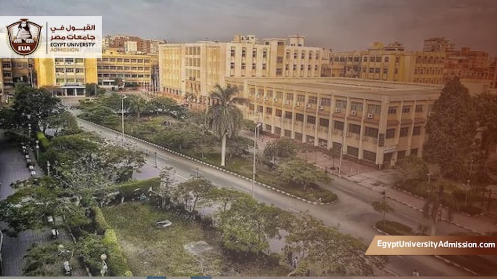 تخصصات جامعة الزقازيق
