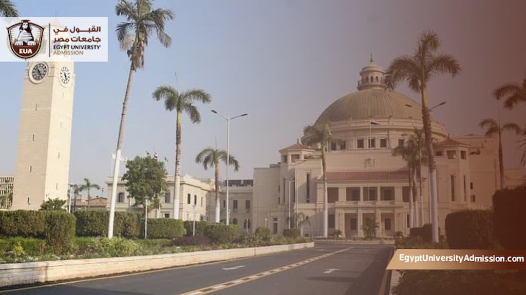 تخصصات كلية التجارة جامعة القاهرة
