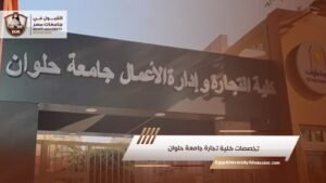 تخصصات كلية تجارة جامعة حلوان