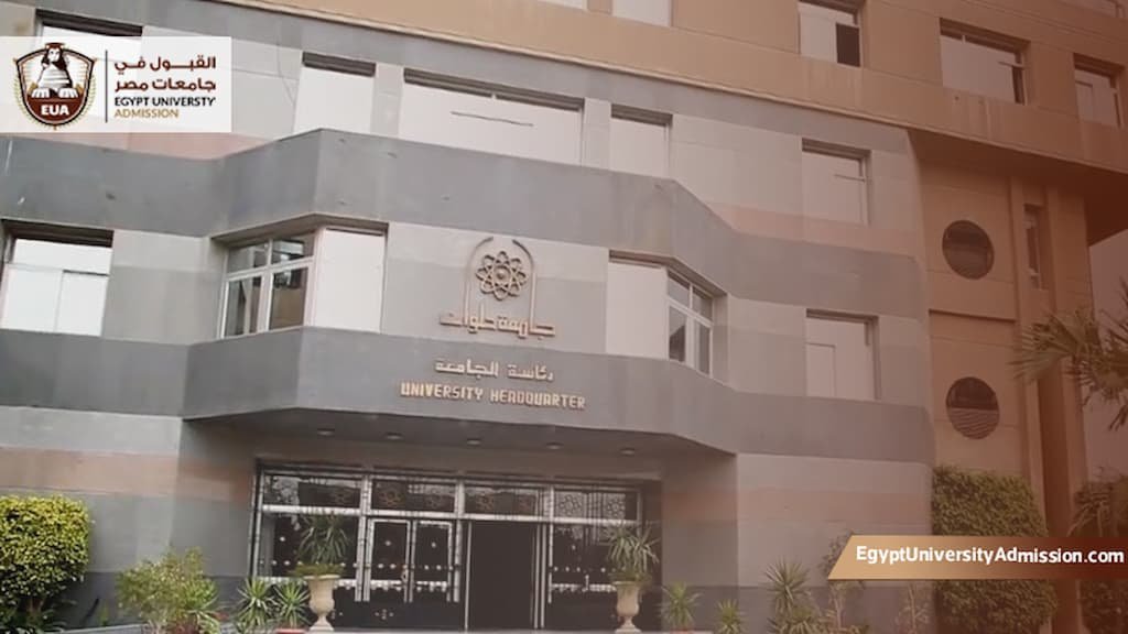 تخصصات كلية تجارة جامعة حلوان