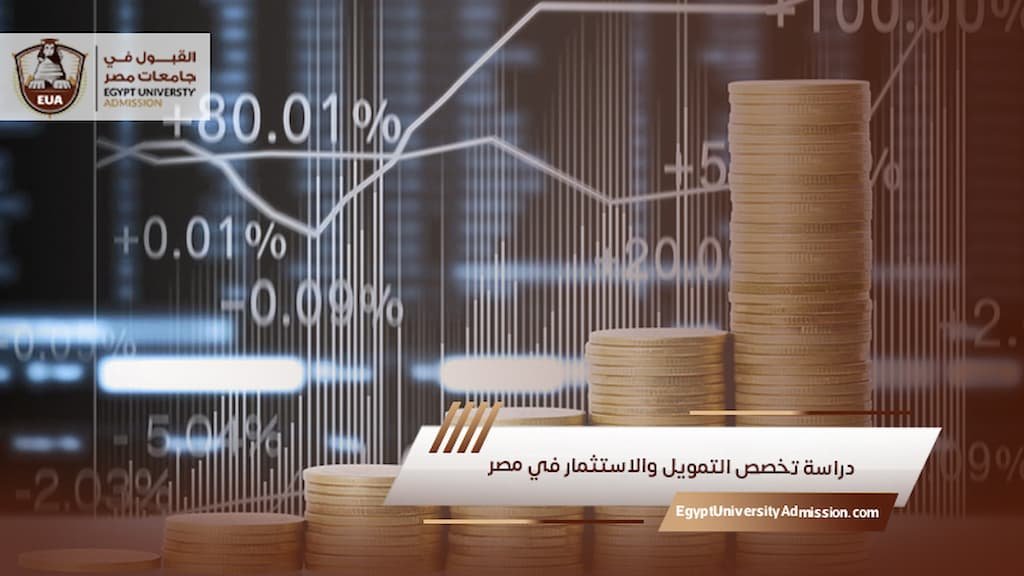 دراسة تخصص التمويل والاستثمار في مصر