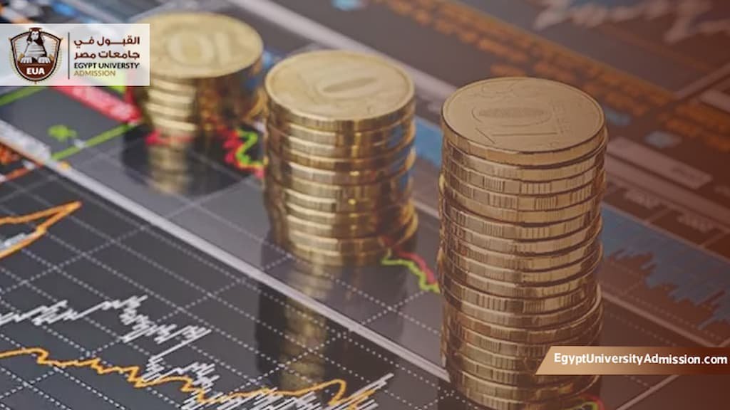 دراسة تخصص التمويل والاستثمار في مصر