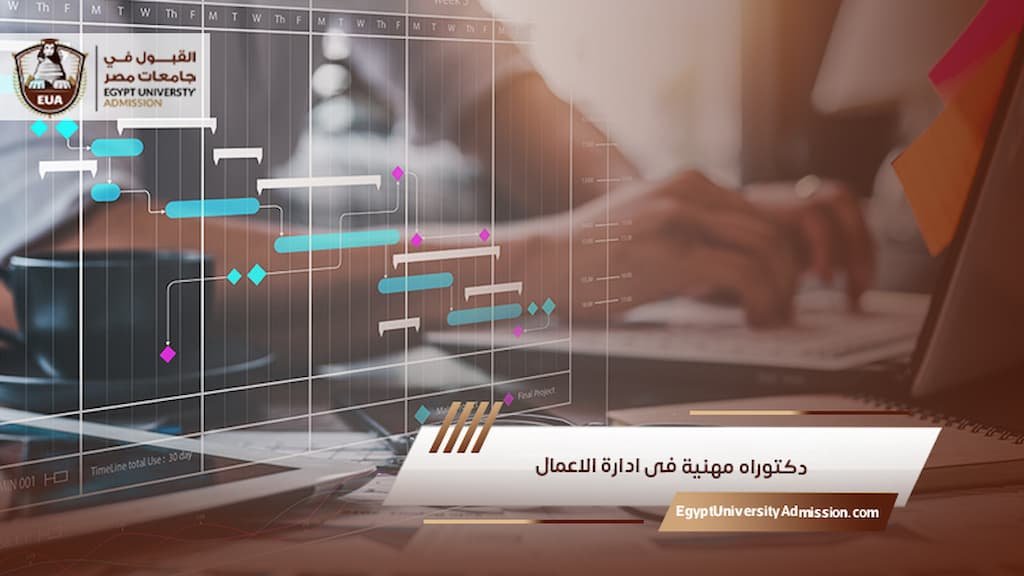 دكتوراه مهنية فى ادارة الاعمال