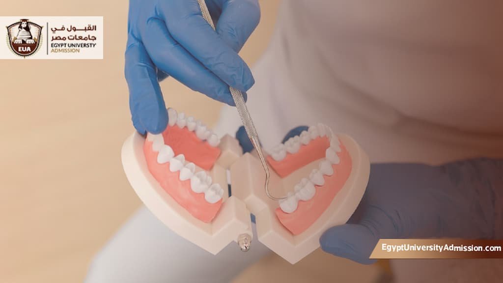 كلية طب الاسنان جامعة القاهرة