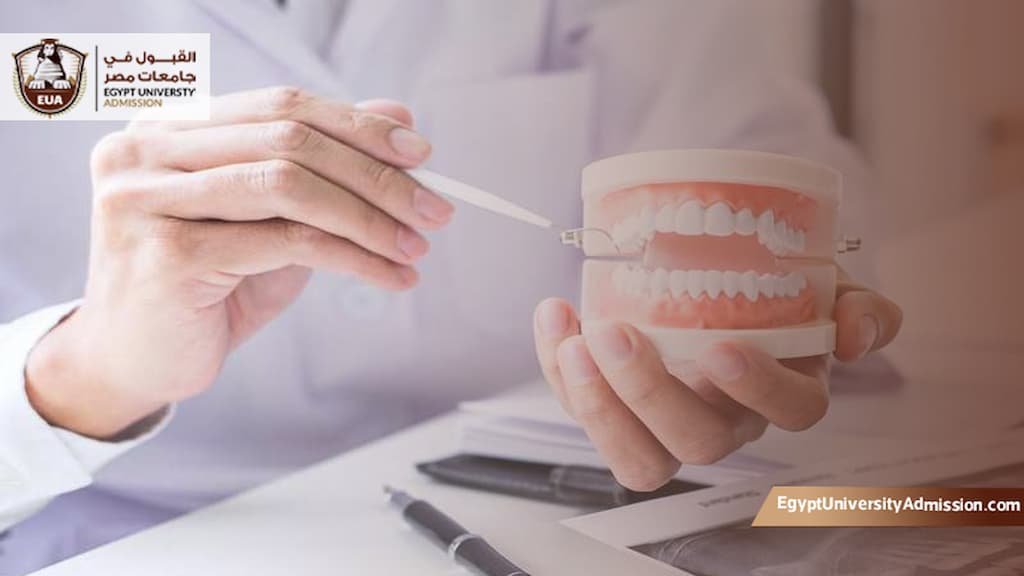 كلية طب الاسنان جامعة المنصورة
