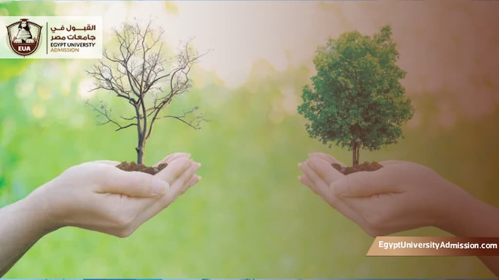 ماجستير العلوم في العلوم البيئية