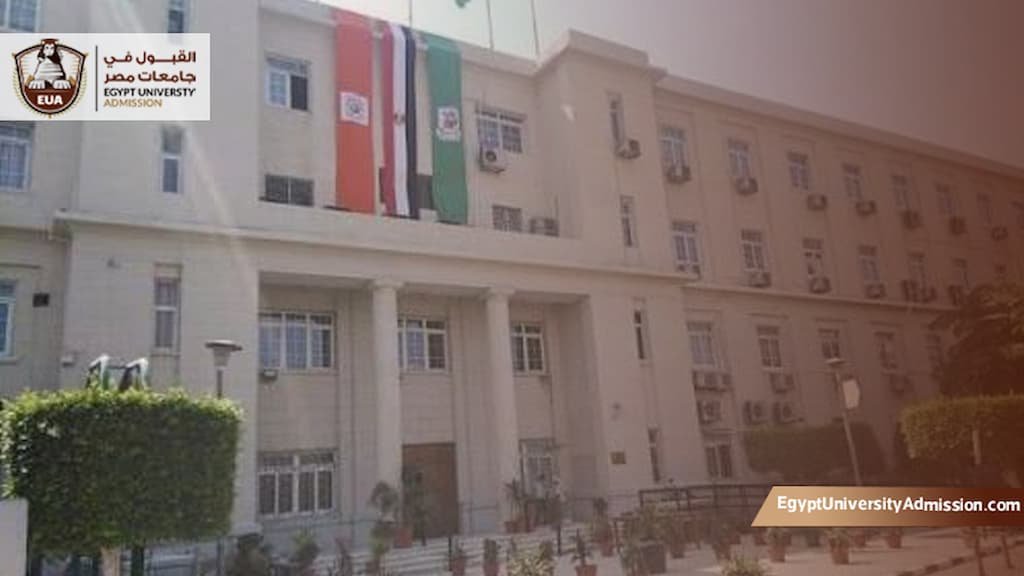 مصاريف الدراسات العليا كلية الاقتصاد والعلوم السياسية جامعة القاهرة