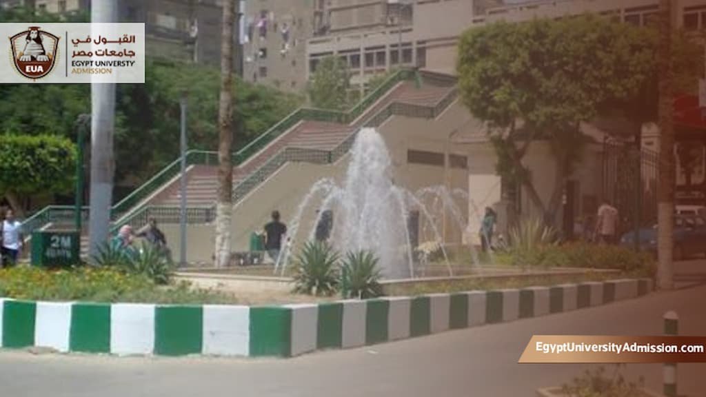 مصاريف ماجستير كلية الزراعة جامعة القاهرة