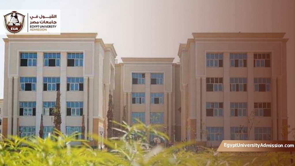 هل جامعة المنصورة الأهلية معتمدة دوليا